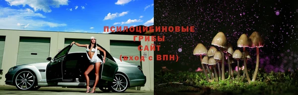 ALPHA PVP Покачи