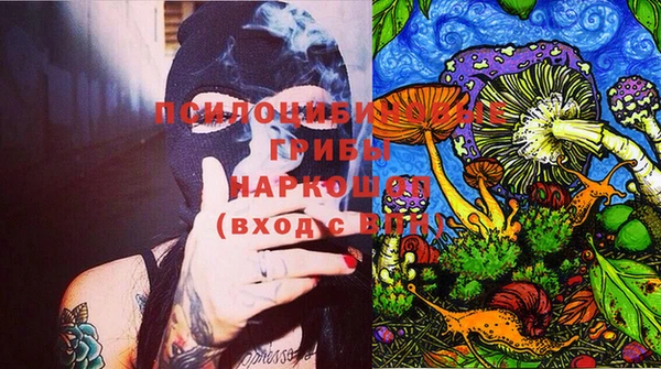 ГАЛЛЮЦИНОГЕННЫЕ ГРИБЫ Алексин
