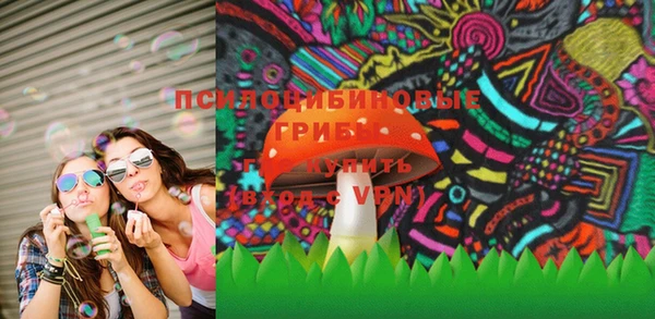 ГАЛЛЮЦИНОГЕННЫЕ ГРИБЫ Алексин