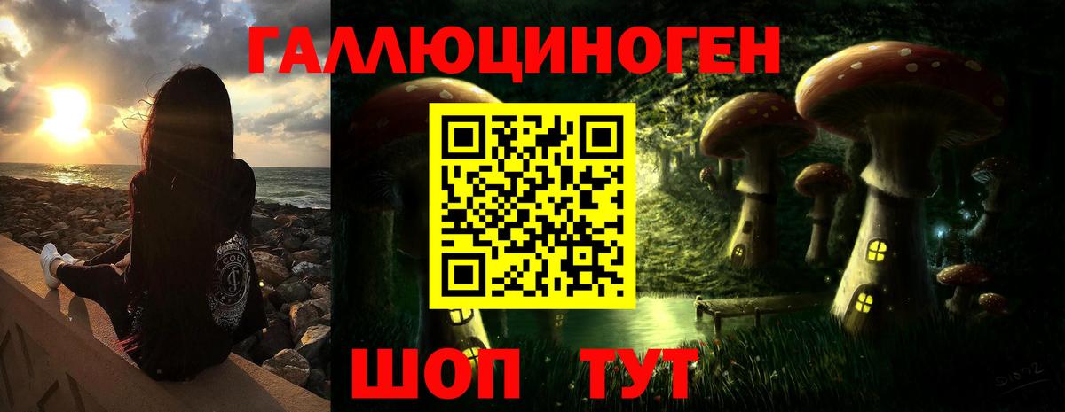 Псилоцибиновые грибы прущие грибы  Вход с VPN  цены   Нурлат  Псилоцибиновые грибы Psilocybe 